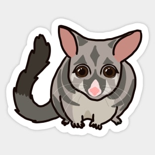 Possum Sticker